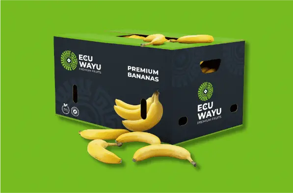 exportadora de banano ecuwayu